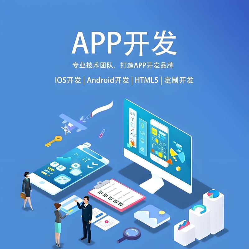 科技新航：上海软件开发公司的崛起
